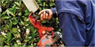 SOS Emploi Médoc