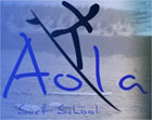 Aola Surf School 